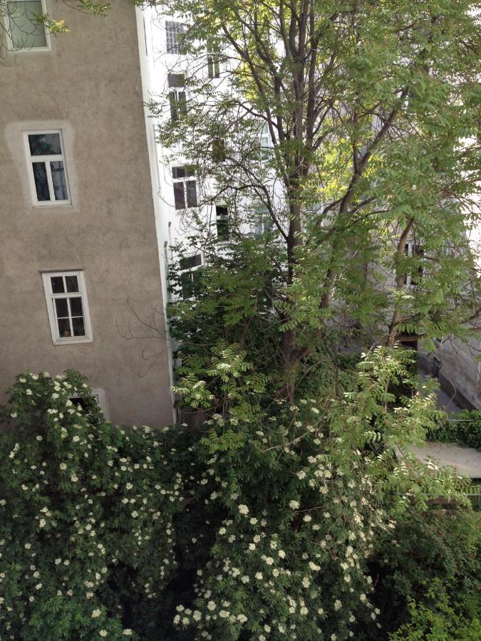 Augartenblick Penthouse 15 فيينا المظهر الخارجي الصورة